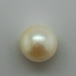 Pearl  (Moti) 5.42 Ct Gem Quality
